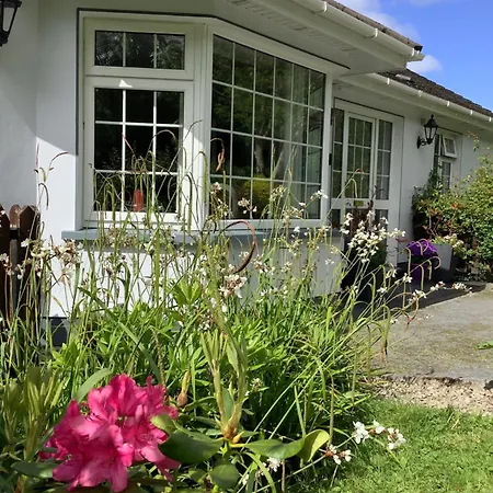 住宿加早餐酒店 O' Sullivan's